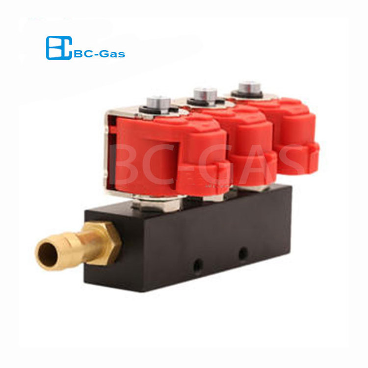 Bus Taxi Truck Vehicle cng/lpg injector common rail valtek type common rail parts 4 6 8 cylinder Auto Injection rail gas