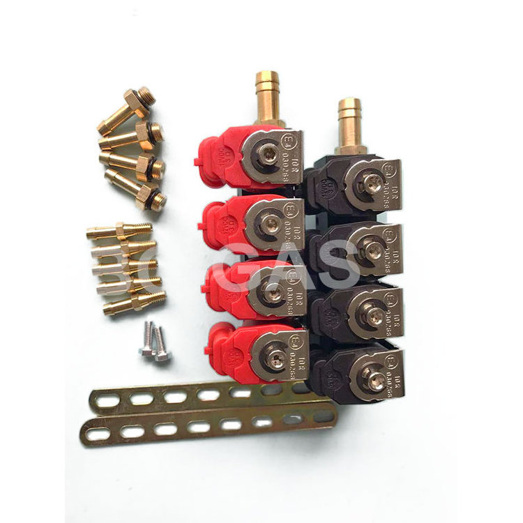 Bus Taxi Truck Vehicle cng/lpg injector common rail valtek type common rail parts 4 6 8 cylinder Auto Injection rail gas