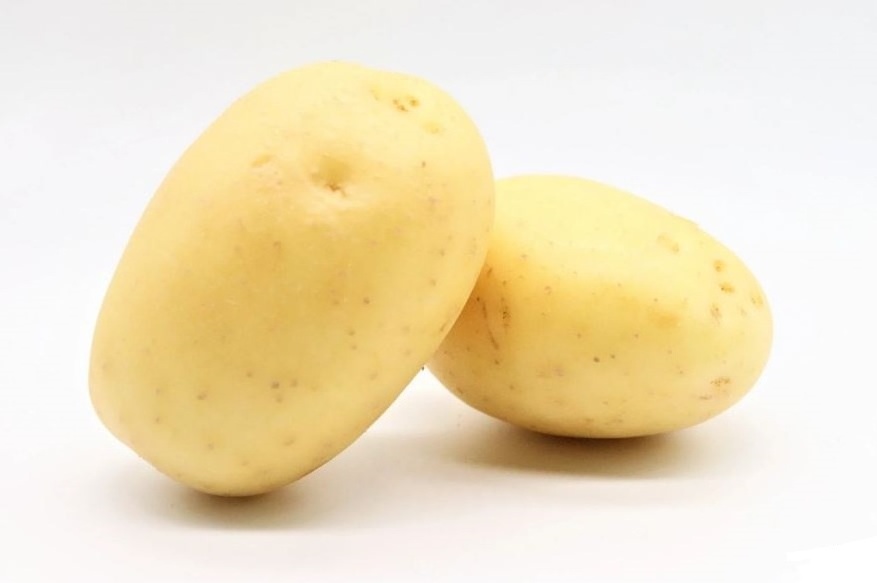 Wholesale Cheap Price High quality Round Shape Yellow Color Bulk Potatoes Ready To Ship Organic Fresh Potatoes From Bangladesh