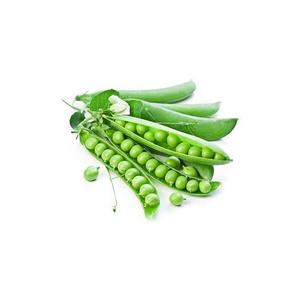 Being Rich In Fibre And One of The Best Plant-Based Proteins Makes Peas a Satisfying Component of a Meal Fresh Frozen Green Peas