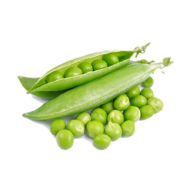 Being Rich In Fibre And One of The Best Plant-Based Proteins Makes Peas a Satisfying Component of a Meal Fresh Frozen Green Peas