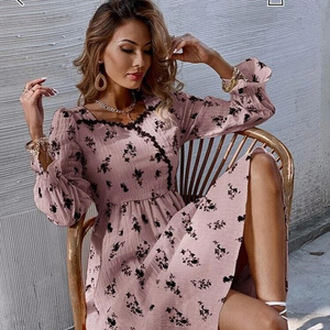 New Fashion Ladies Dress sexy cute transparent cotton hot regular ladies dress regular fit