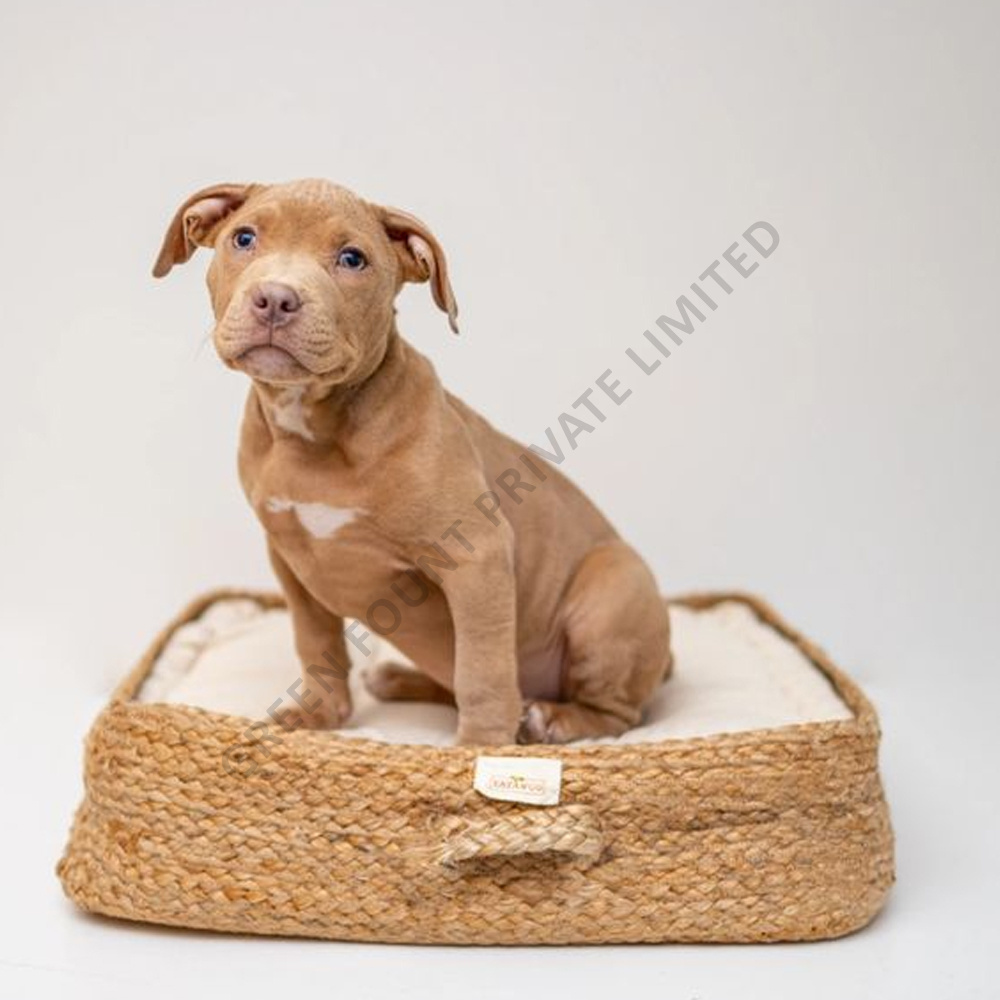 Eco Comfort Cozy Nest Jute Pet Bed Optimal Comfort and Support Sustainable Jute Wholesale Basket Pets Jute Bed from Bangladesh