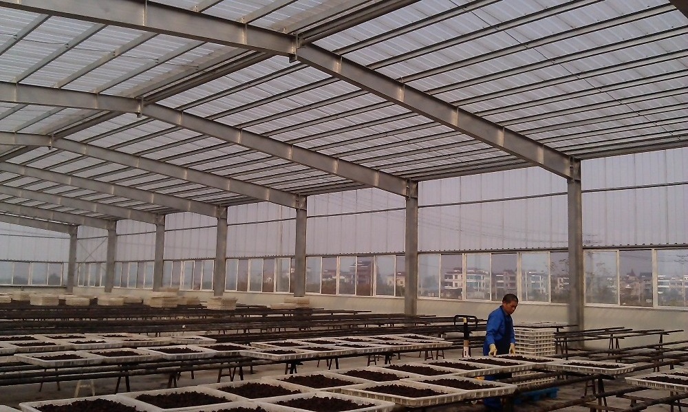 transparent corrugated roofing sheets/warehouse greenhouse sun house/fiberglass skylight roof panel