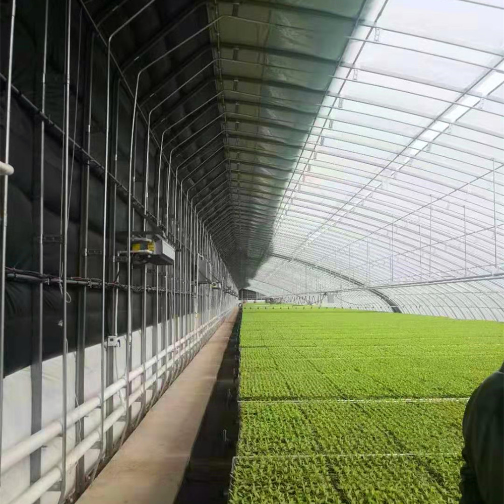 Hangmei China energy saving solar greenhouse for cold climate