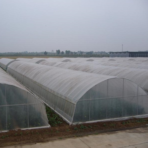 Retractable Roof Greenhouses With Plastic Film With Metal Structures