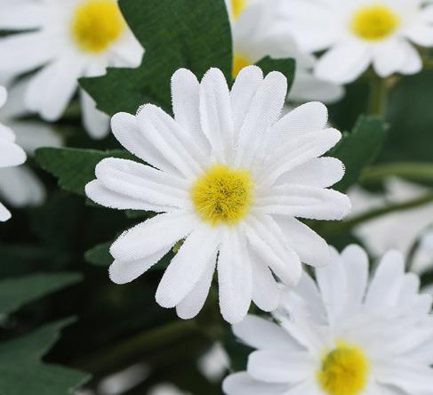 Simulation Small Chrysanthemum Sunflower Wedding Home Decorations White Artificial Flower Daisy