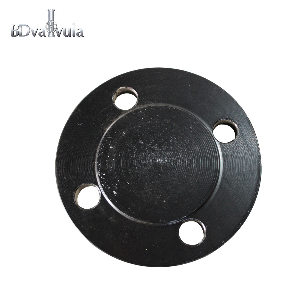 DIN 2527 carbon steel forged blind flange