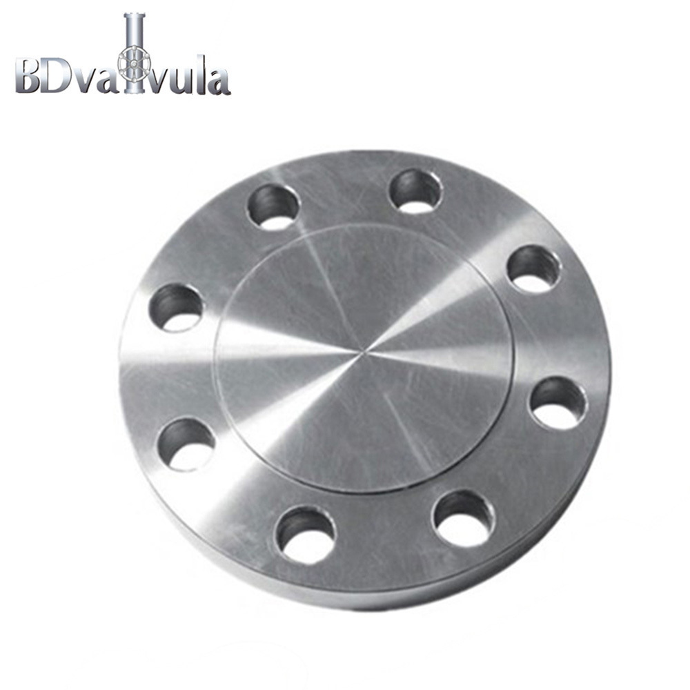 DIN 2527 carbon steel forged blind flange