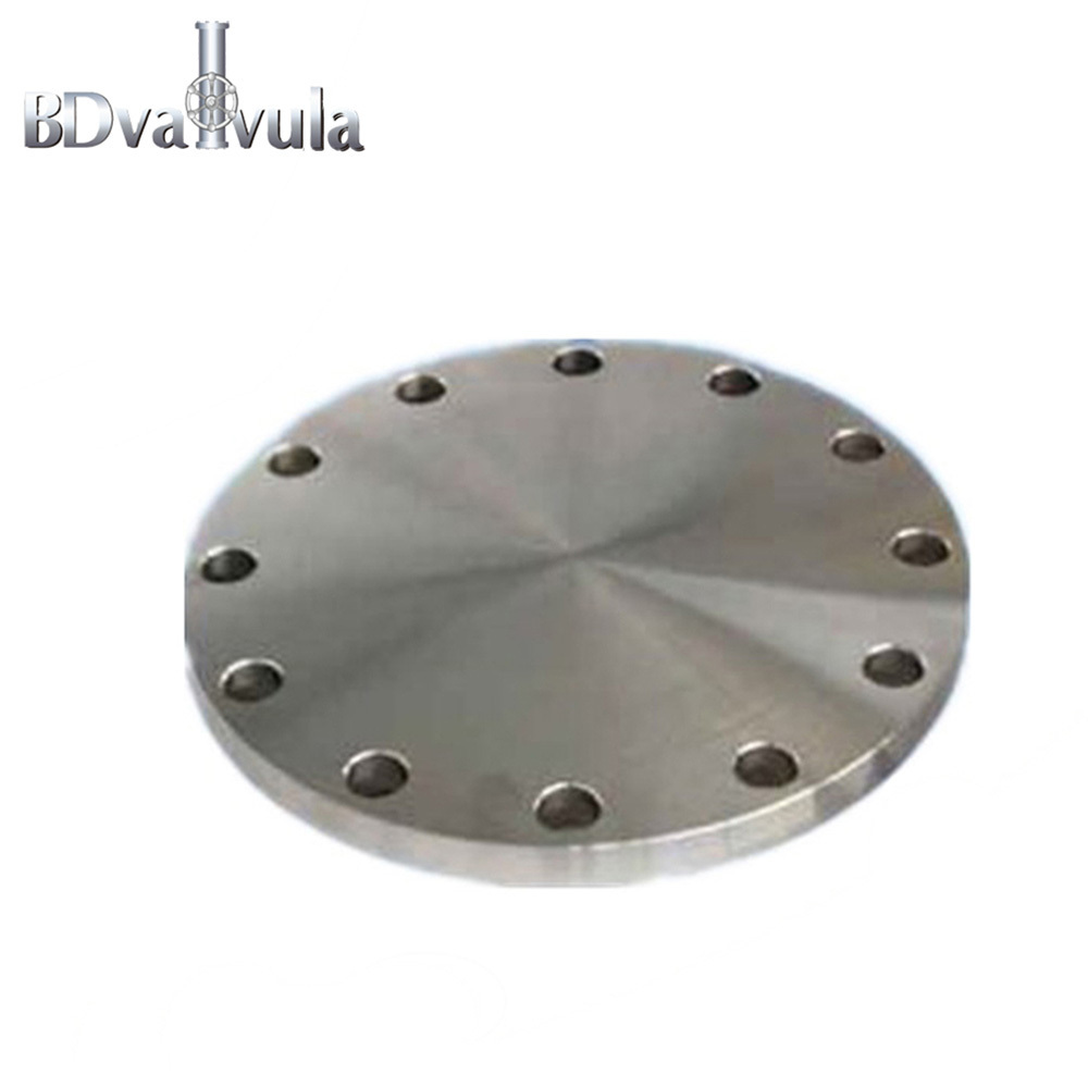 DIN 2527 carbon steel forged blind flange