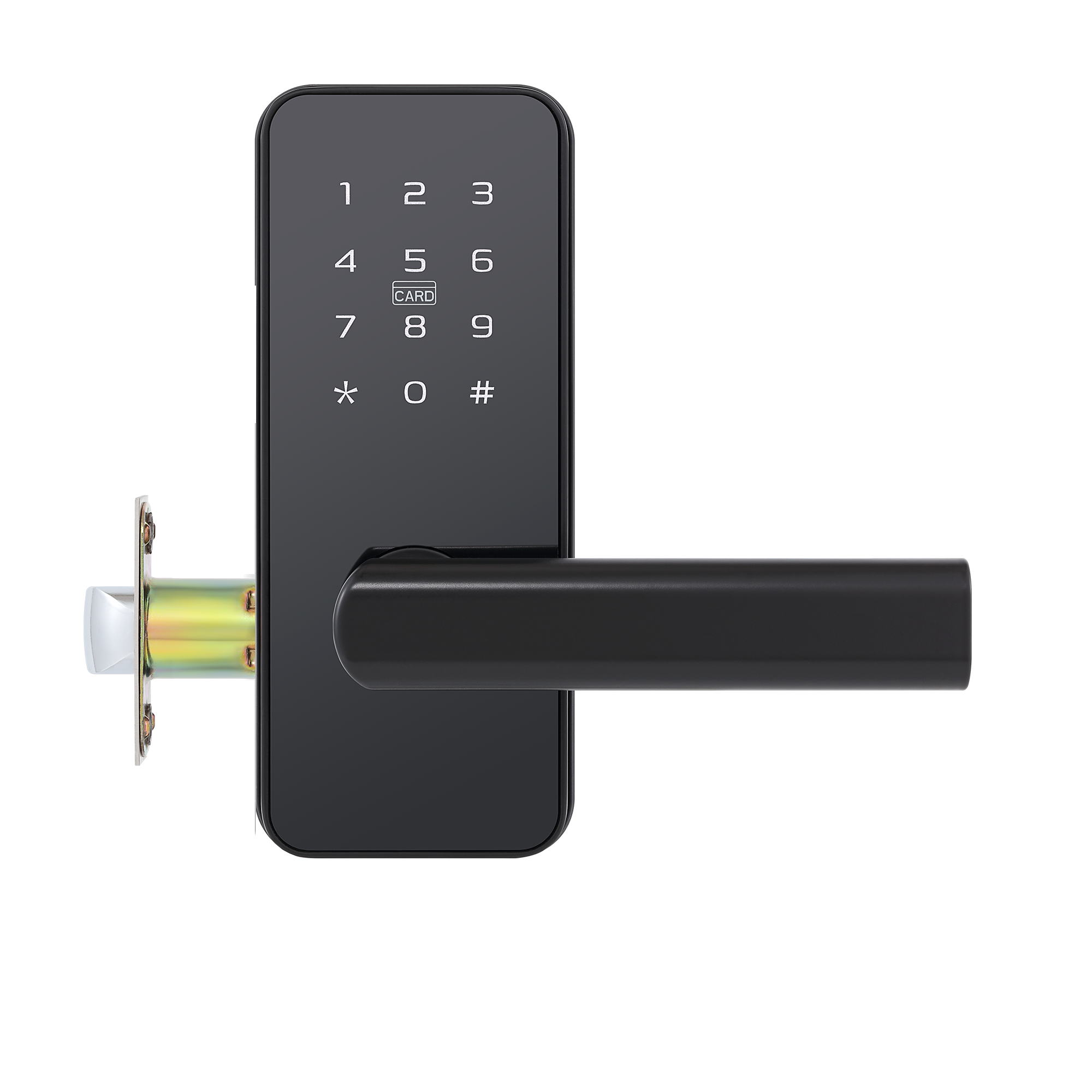 Anti-Theft Electronic Lock Intelligent Digital Door Card Lock Smart Home Automatic Door Lock