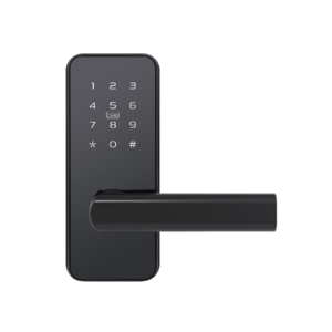 Automatic Door Lock Intelligent Password One Time Password Locker Lock Lock With Code