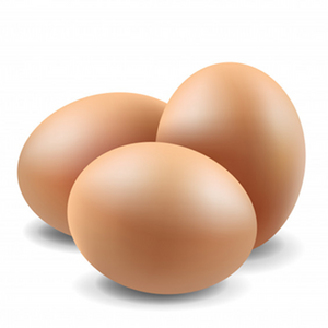 Fresh Brown/white Table Chicken Eggs in Bulk for sale Farm Fresh Chicken Table Eggs