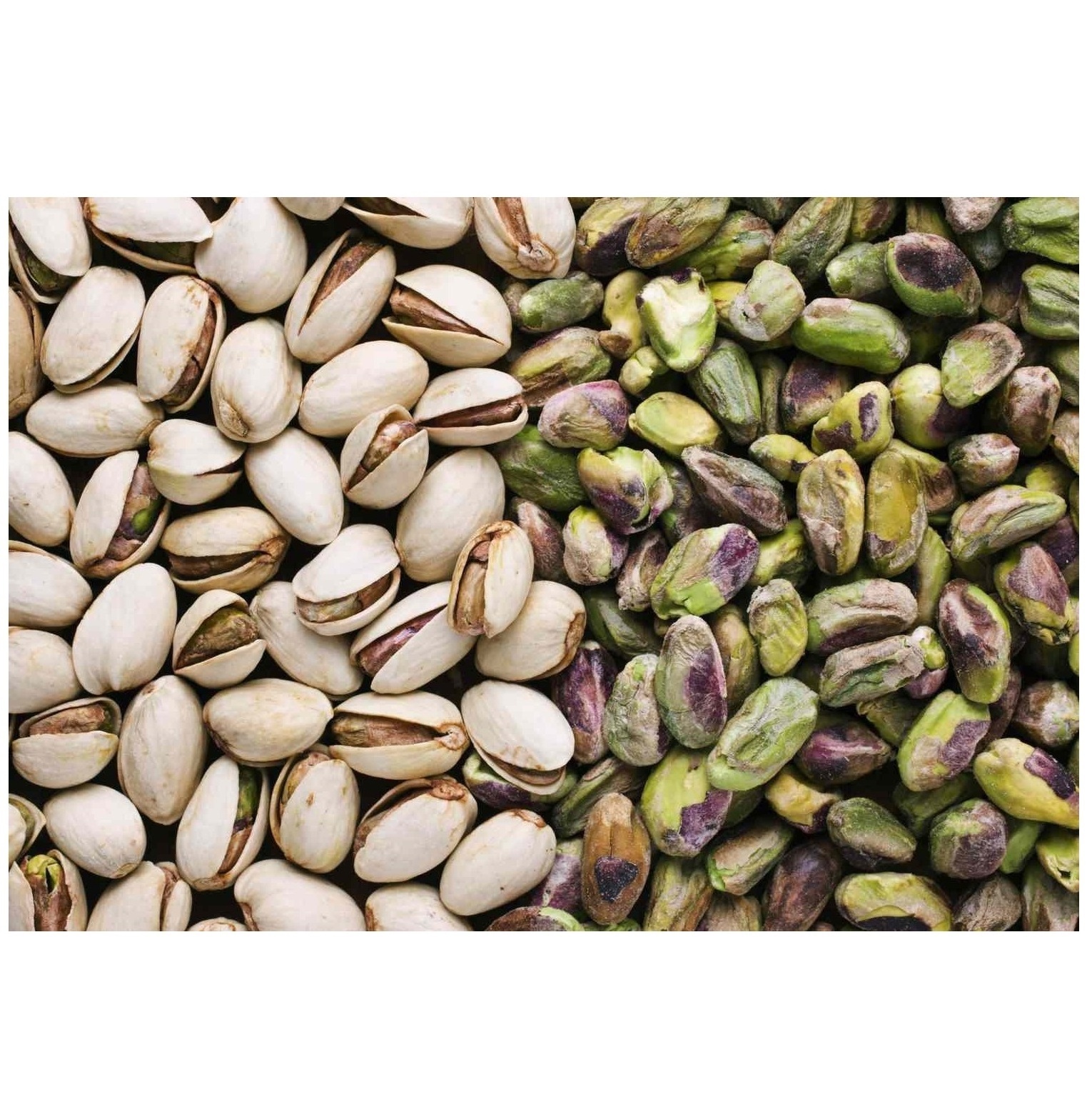 Natural Pistachio Nuts with and without Shell / Pistachio Kernels/organic pistachios