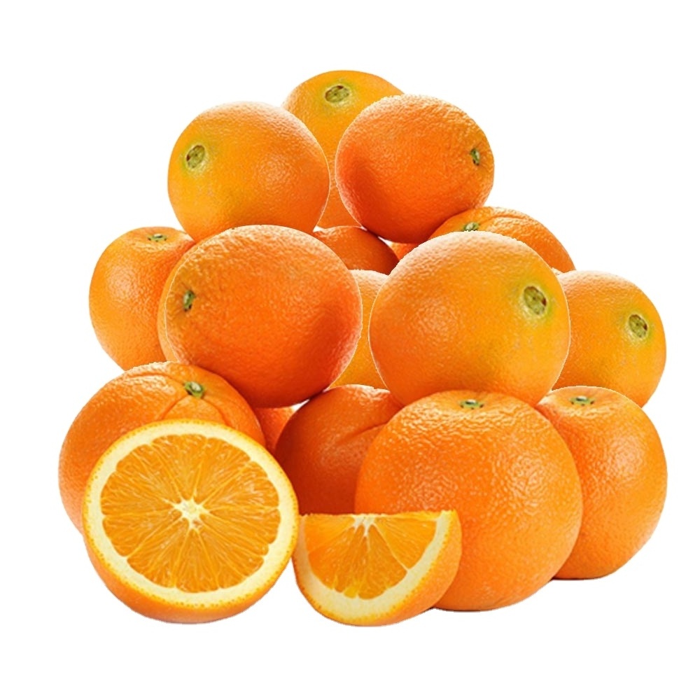 Fresh Valencia Orange From Egypt Top Selling Sweet Premium Citrus Fruit Natural Organic Healthy Valencia Orange