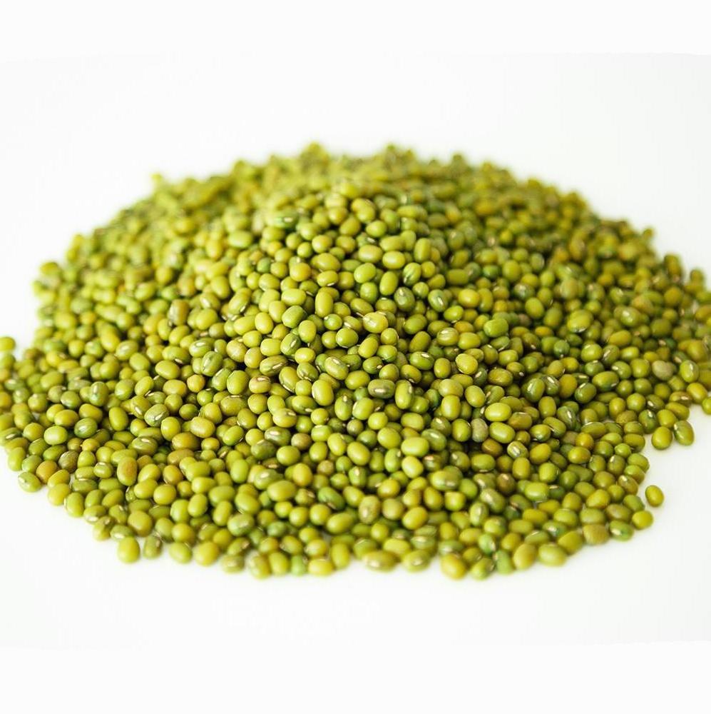 Natural Bulk Dried Mung Beans / Vigna Mung beans for Food