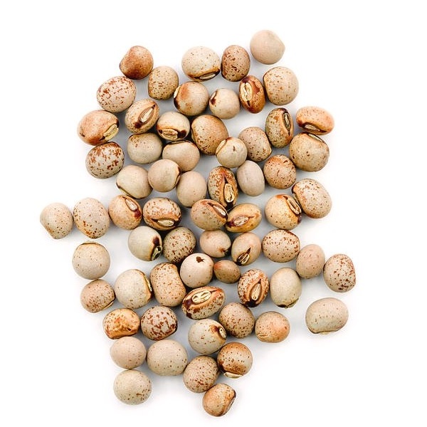 Green Pigeon Peas food grade frozen, dried and fresh Bulk Style Storage Packing