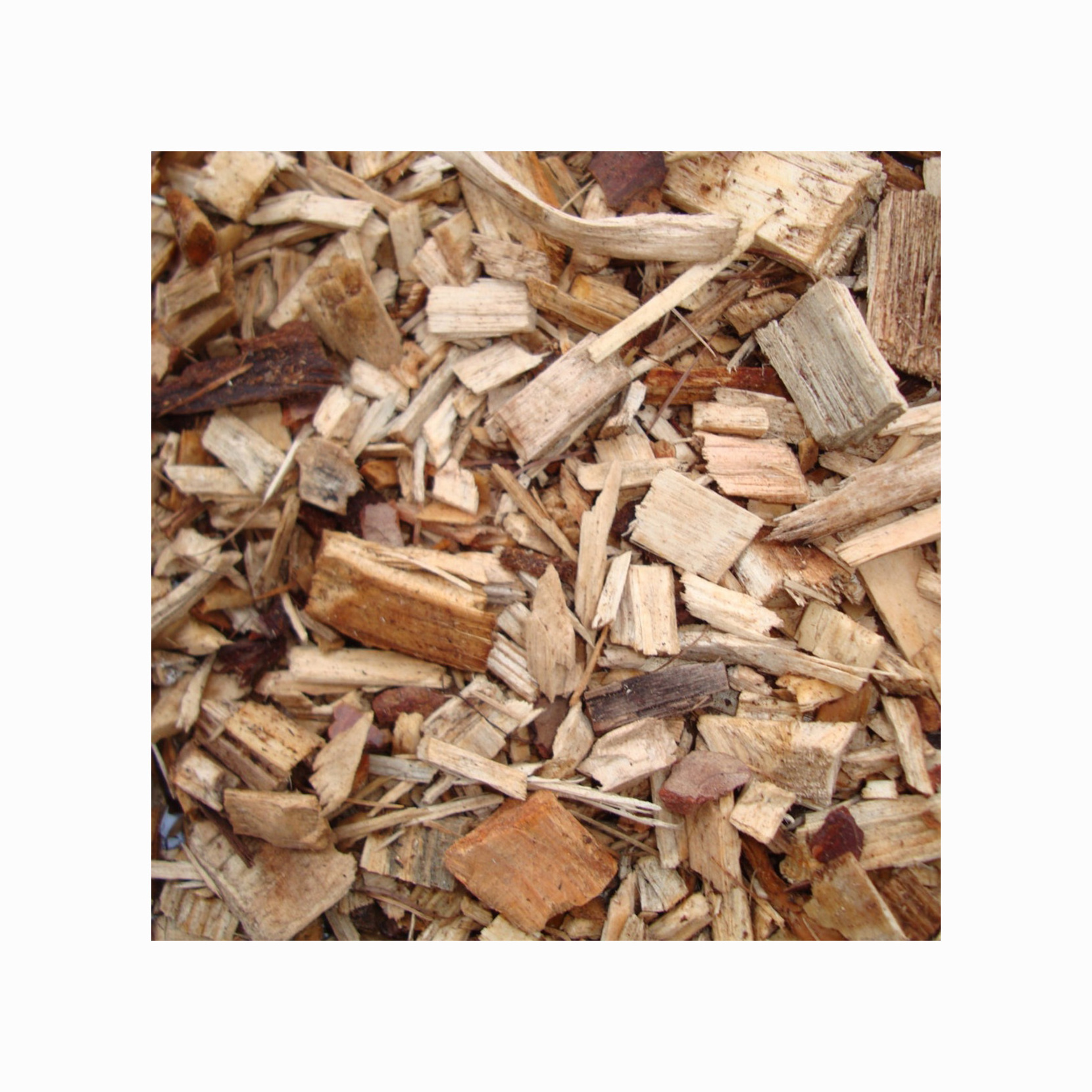 Pine wood chips/ pulp wood chip/ woodchips Firewood