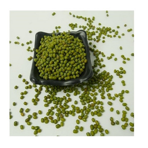 Natural Bulk Dried Mung Beans / Vigna Mung beans for Food