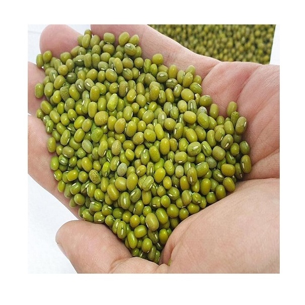 Natural Bulk Dried Mung Beans / Vigna Mung beans for Food