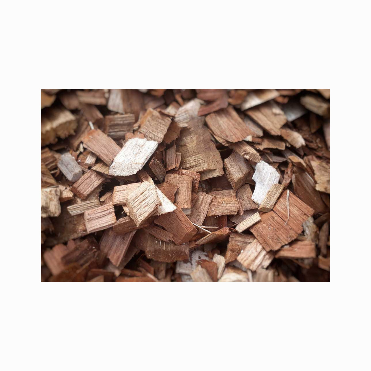 Pine wood chips/ pulp wood chip/ woodchips Firewood