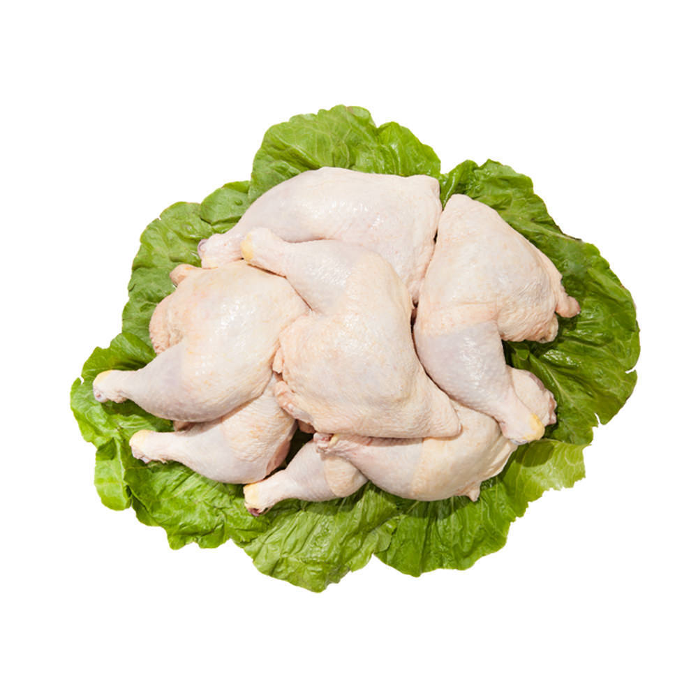 Fast Selling Premium Frozen Whole Chicken