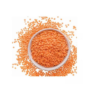 Wholesale Premium Quality Crimson Lentilles / Green Lentils Price / Red Lentils