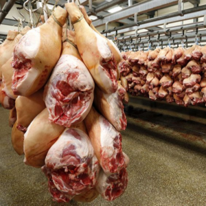 Cheap Frozen Pork Meat Pork Hind Leg Pork Feet for Export Premium Sea Goat Style Packaging Package Feature Weight Cargo Fat Type