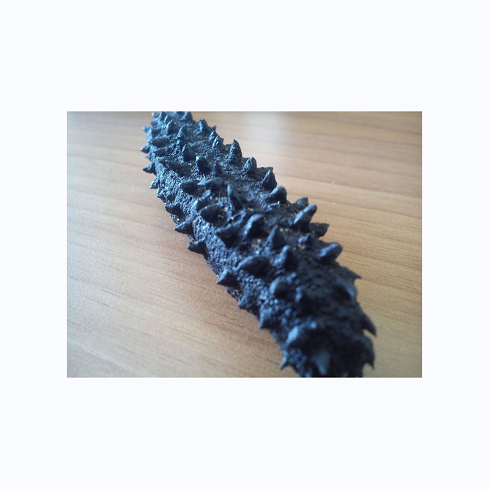 whole sale Price USA Frozen Sea Cucumber and Quality Dried Sea Cucumber for sale