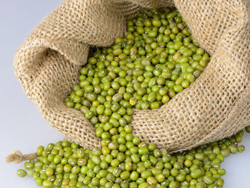 Cheap Hot Sale Mung Beans Top Quality Green Beans Dried Wholesale