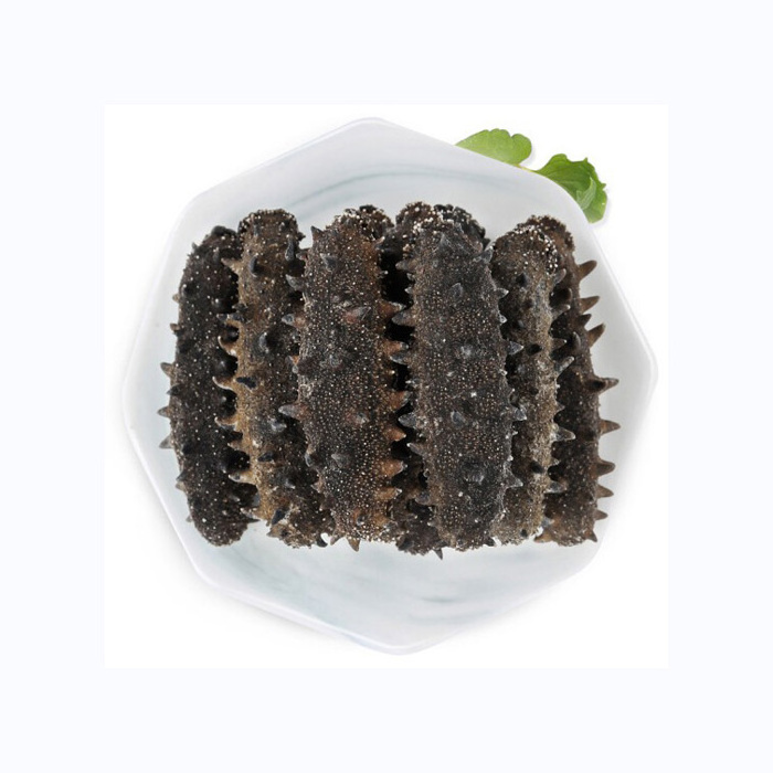 whole sale Price USA Frozen Sea Cucumber and Quality Dried Sea Cucumber for sale