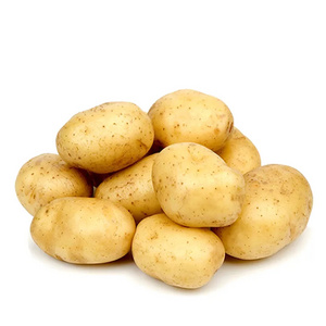 High Quality Fresh Potato Supplier In Belgium Yellow Skin Potato For Sale