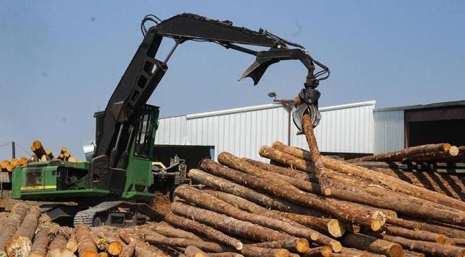 WESTERN RED CEDAR wood logs