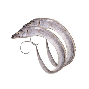 ribbon frozen fish hairs tail A grade frozen seafood hairs tail fish B grade frozen seafood hairs tail fish