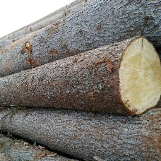 WESTERN RED CEDAR wood logs