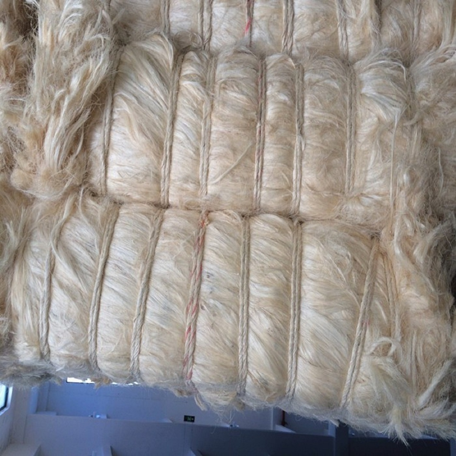 Sisal Fiber / Sisal Fibre for Sale/Sisal Fiber for sale