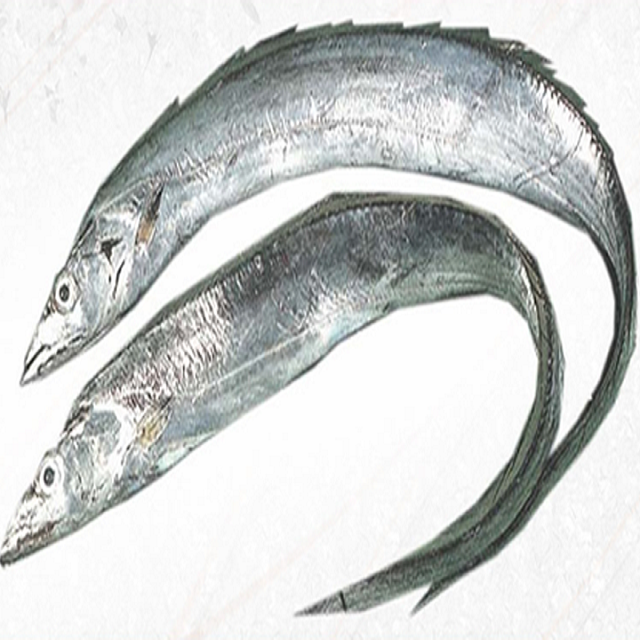 ribbon frozen fish hairs tail A grade frozen seafood hairs tail fish B grade frozen seafood hairs tail fish