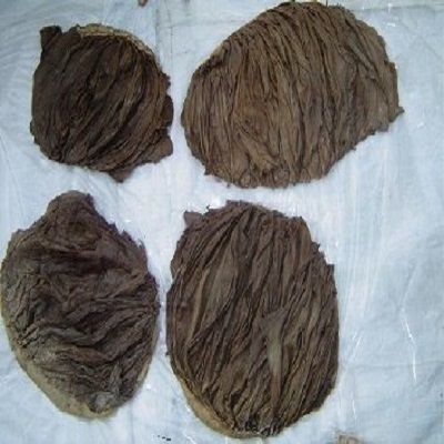 Buffalo Salted Omasum and Beef Salted Omasum for sale /High Quality Omasum