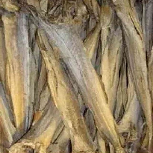 High Grade Dried Stock Fish Dried Stockfish/premium grade cod Stock Fish from Norway/Whole Sale Quality Stockfish Head