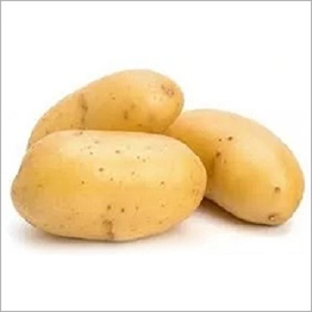 Professional Potato Exporter Factory Potato Price For Wholesale High Quality Bulk Potatoes Ready To Ship