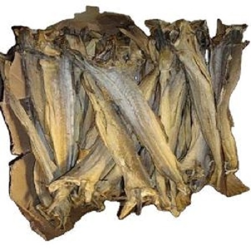 High Grade Dried Stock Fish Dried Stockfish/premium grade cod Stock Fish from Norway/Whole Sale Quality Stockfish Head