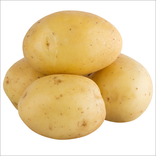 Professional Potato Exporter Factory Potato Price For Wholesale High Quality Bulk Potatoes Ready To Ship