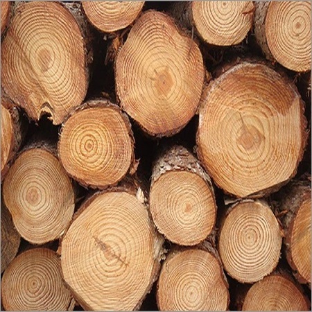 Natural Round Pine Wood / Wooden Log Tree /Pine Sawm Lumber