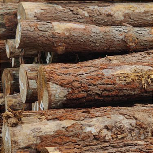 Natural Round Pine Wood / Wooden Log Tree /Pine Sawm Lumber