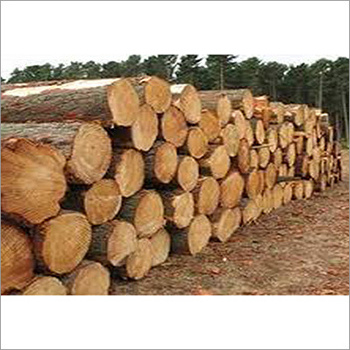 Natural Round Pine Wood / Wooden Log Tree /Pine Sawm Lumber