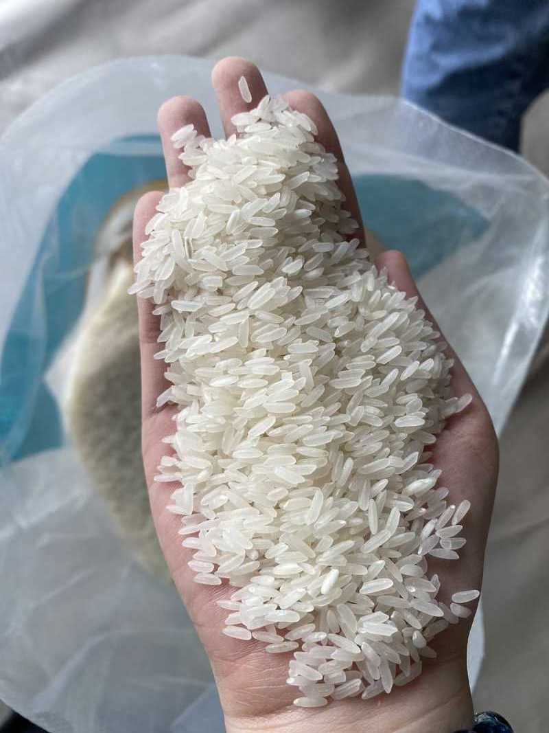 Best Quality Jasmine Long Grain white Rice - Long Grain white Rice