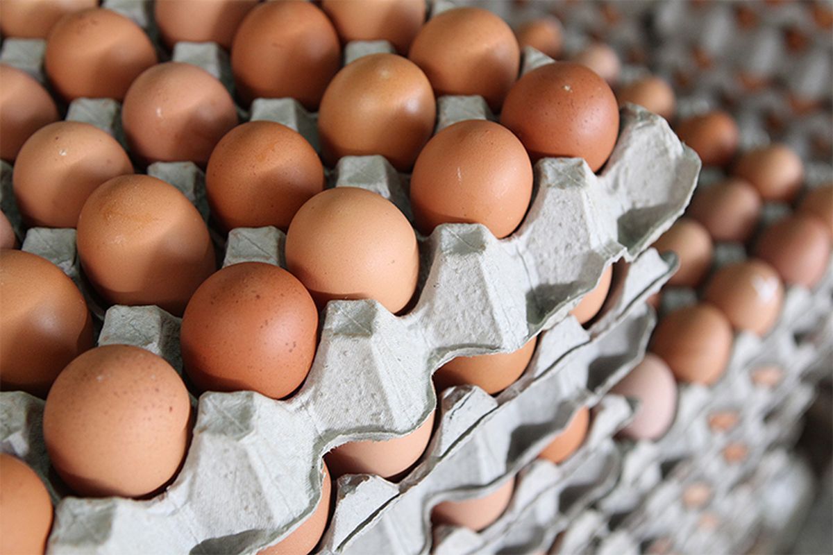 Fresh Table Eggs Brown And White - Edible Fresh Table Eggs