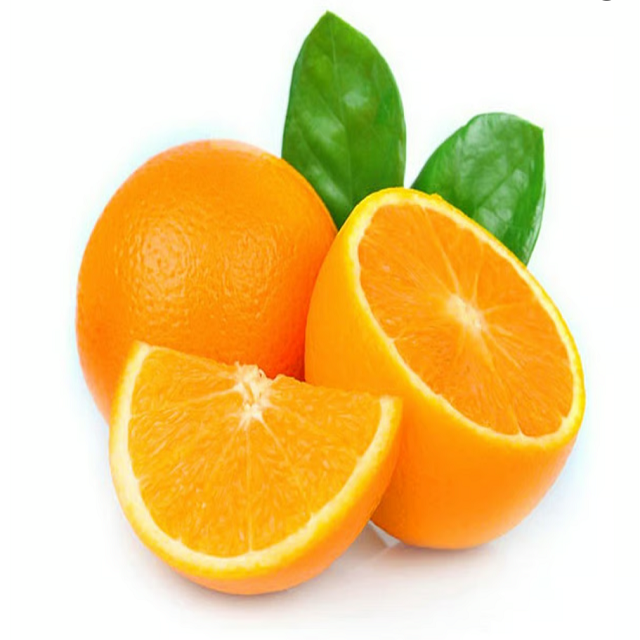 High Quality Fresh Navel OrangesFresh oranges Valencia and Navel Fresh Orange.