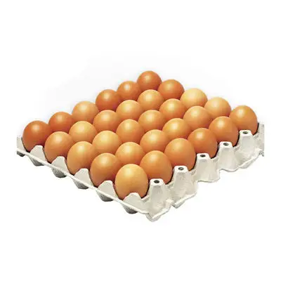 FARM FRESH CHICKEN TABLE EGGS FERTILE/ HATCHING CHICKEN EGG/ BROILER CHICKEN EGGS