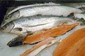 Frozen Atlantic Salmon Fish for Sale / Wholesale Price Quality Frozen Salmon